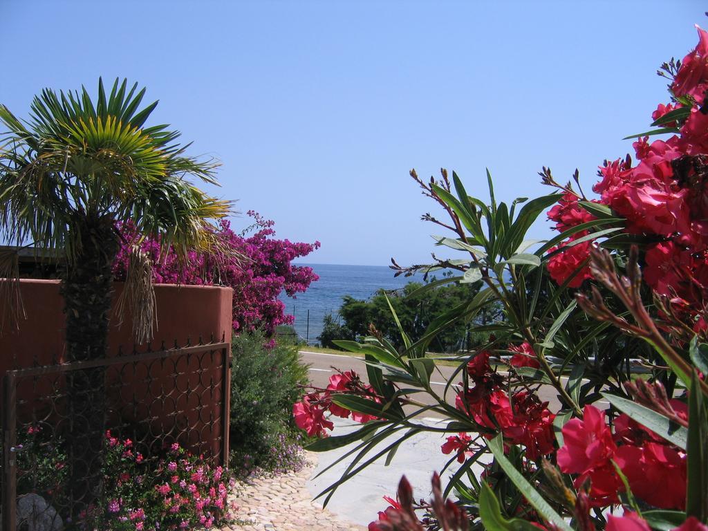 Les Bungalows De Figha Tarcu Exterior foto
